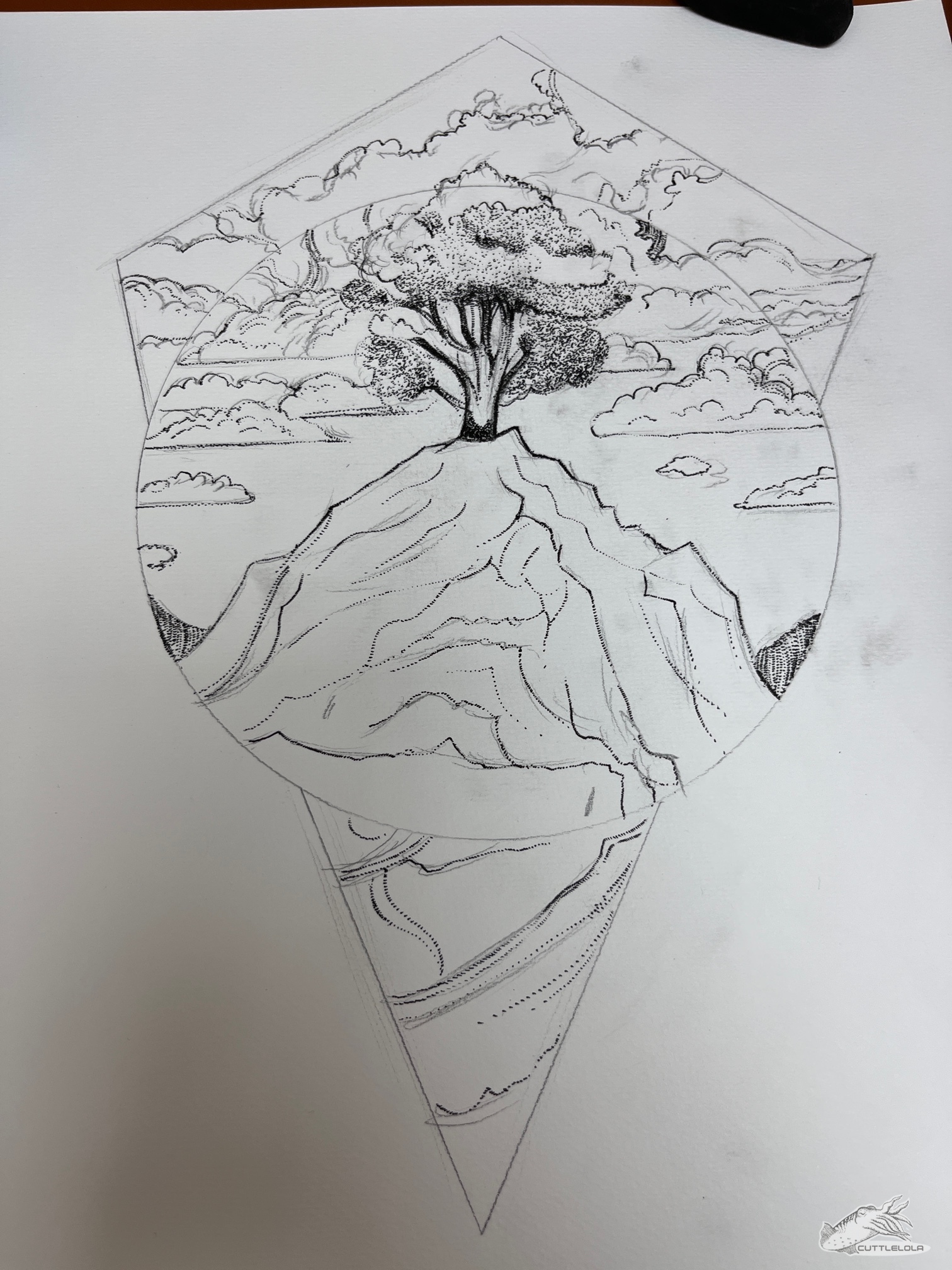 20