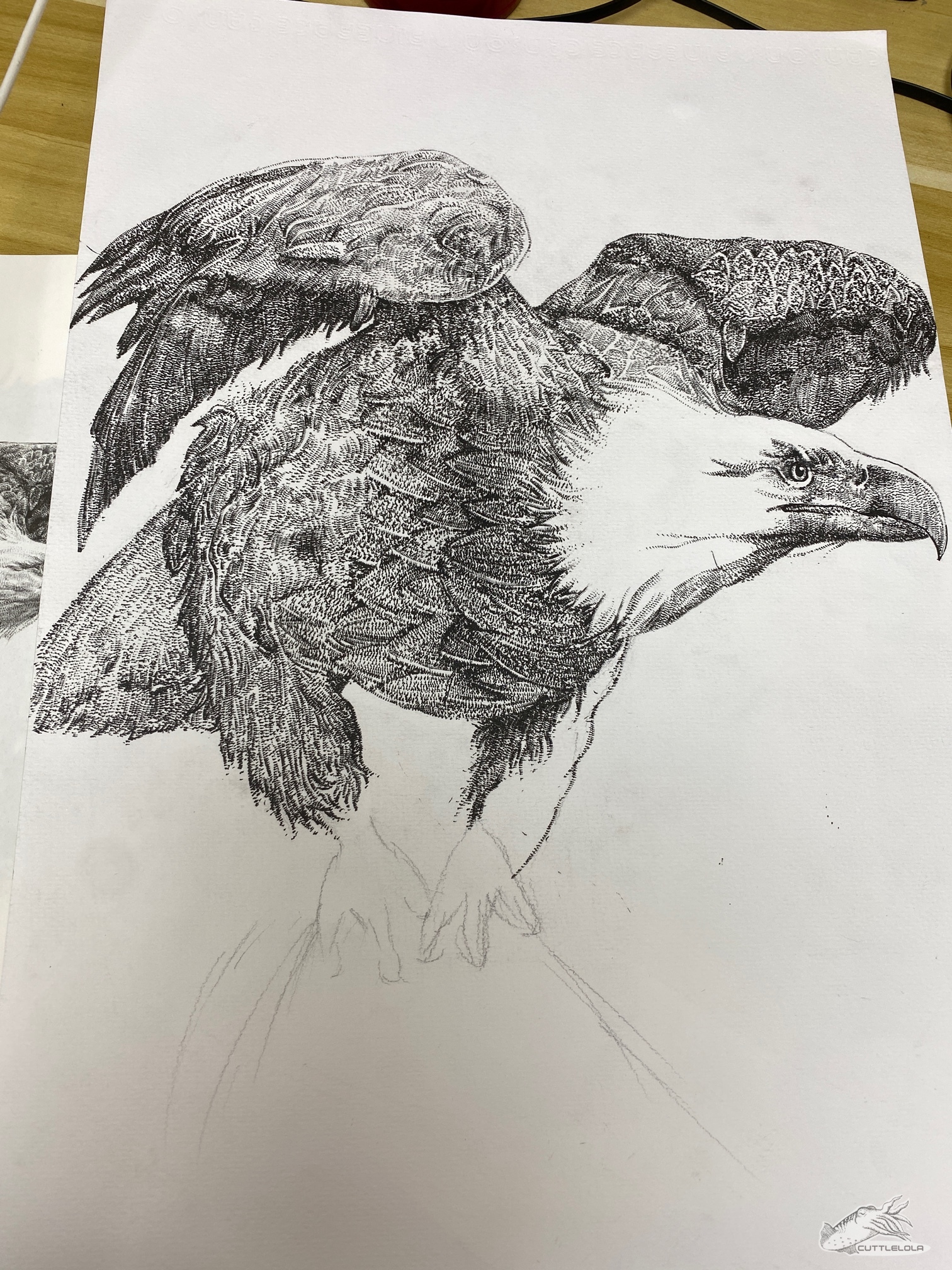 20