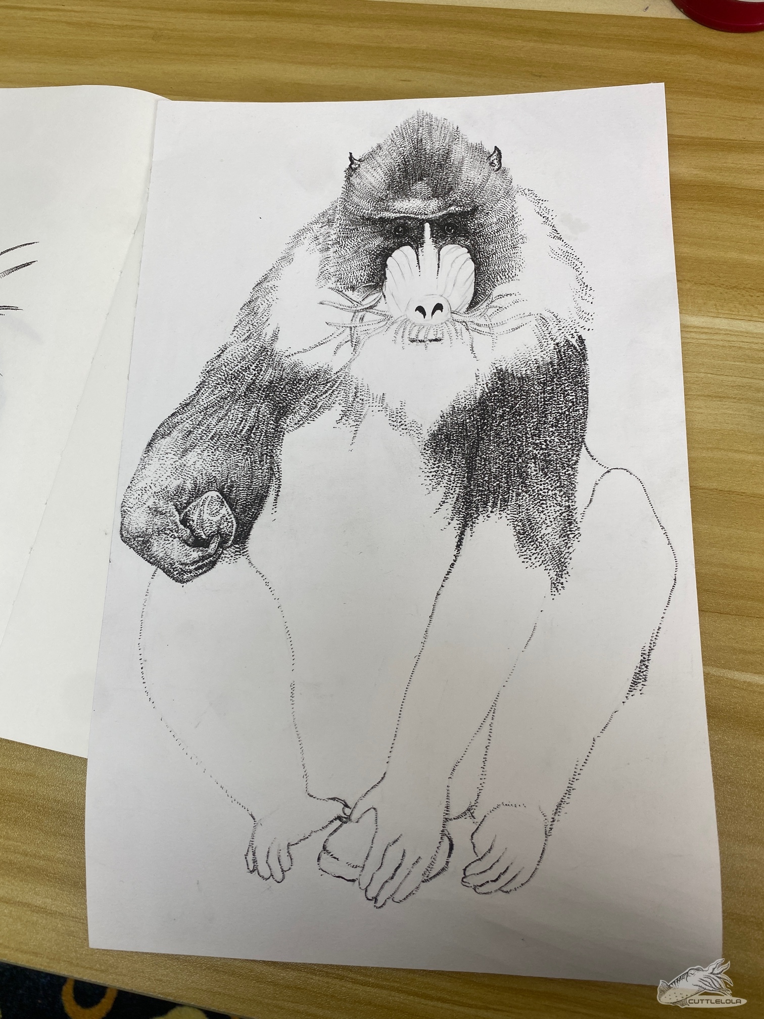 20