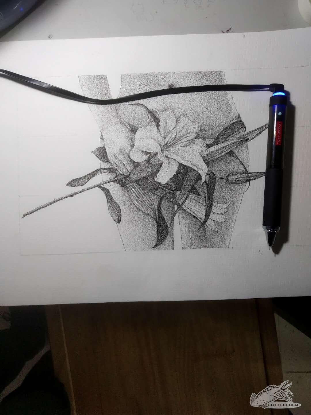 20