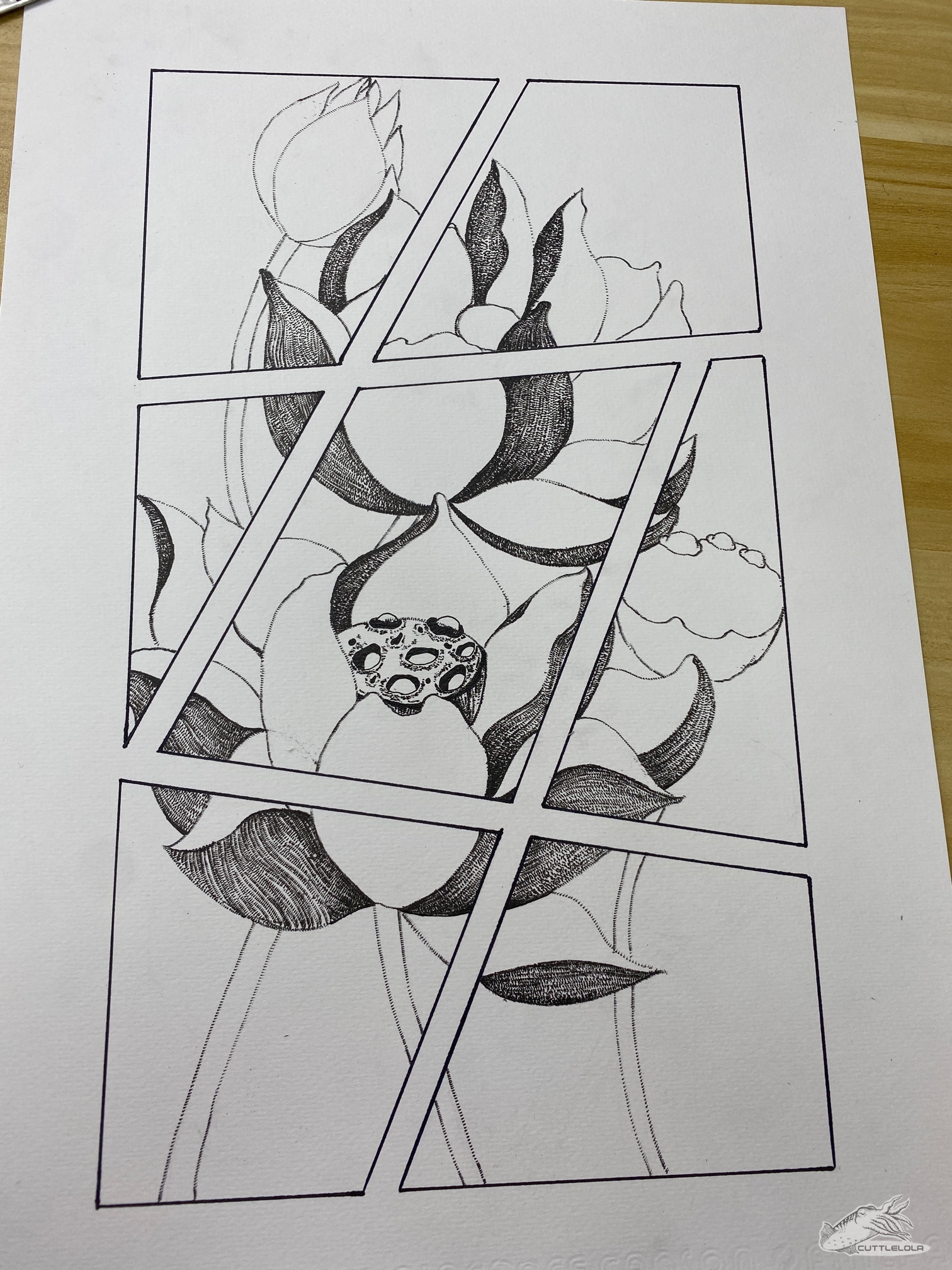 20
