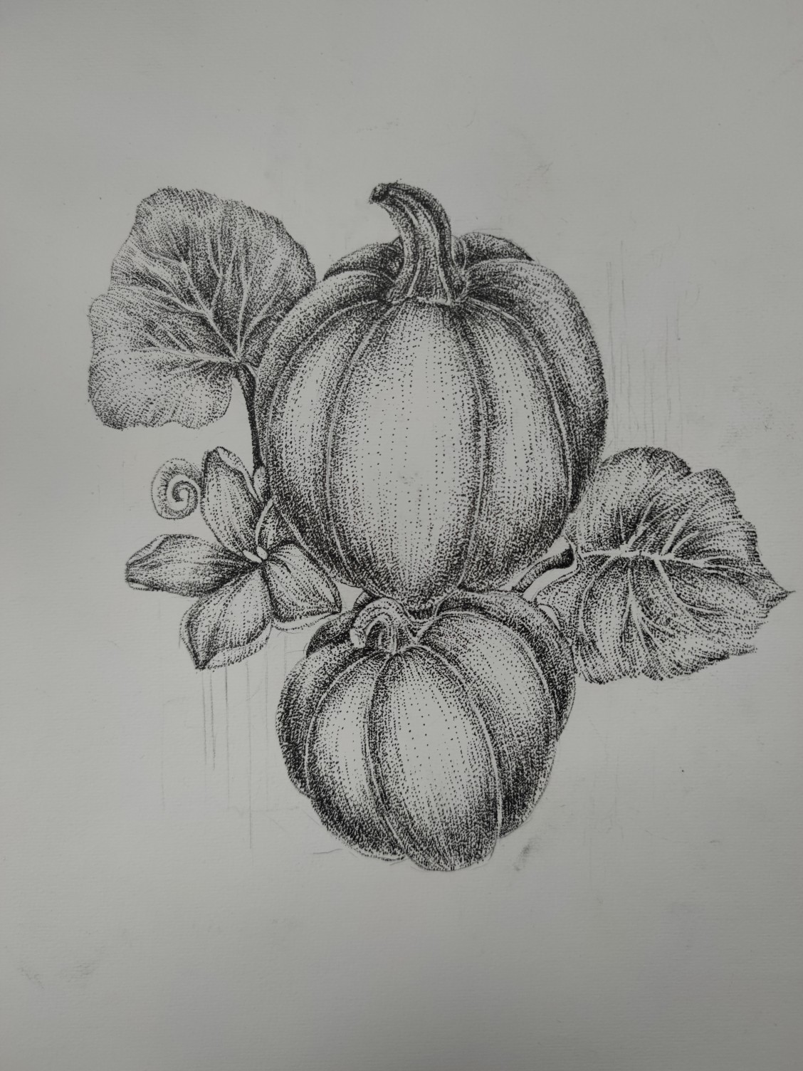 1660554571646653.jpeg