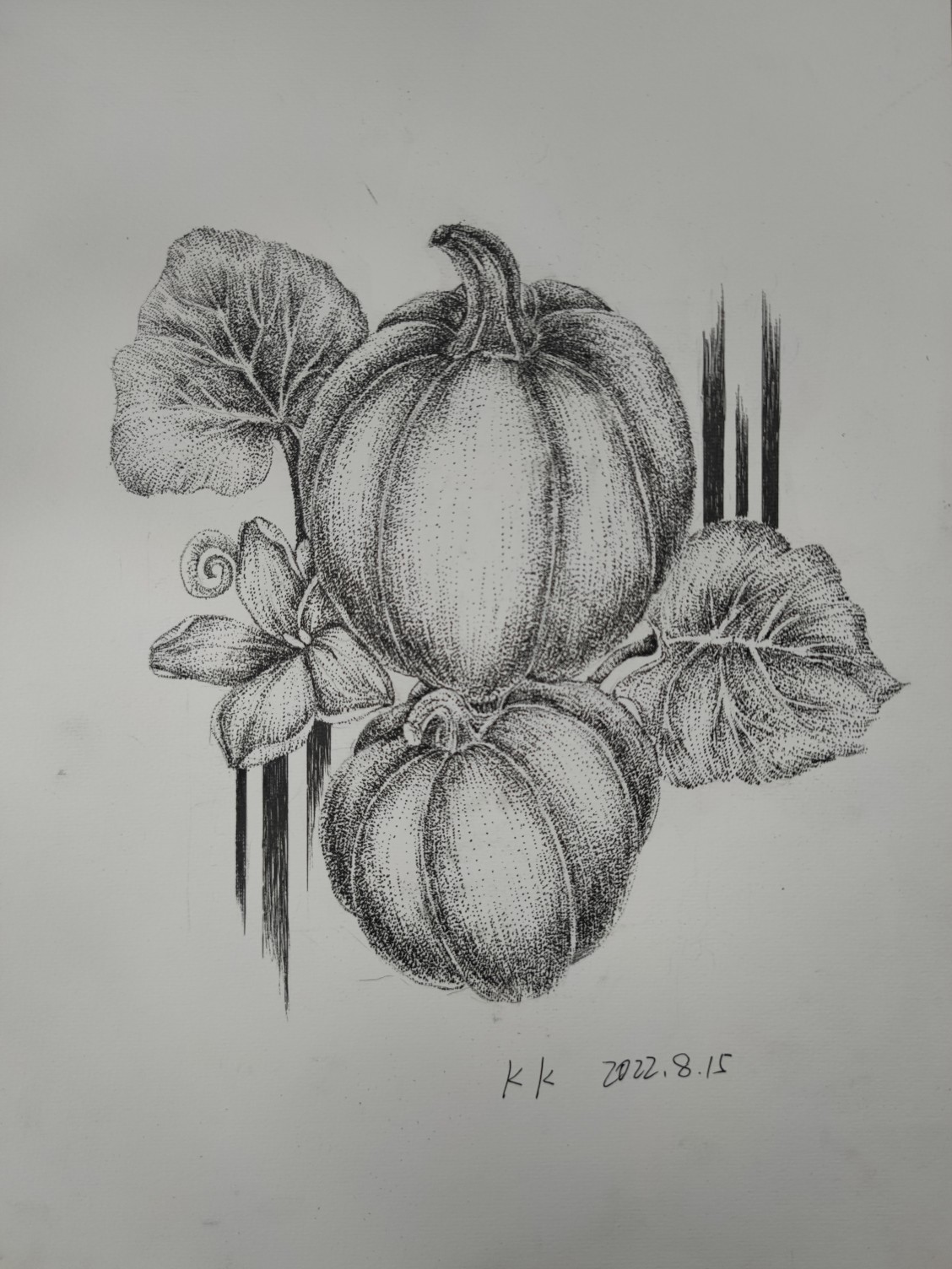 1660554571880488.jpeg