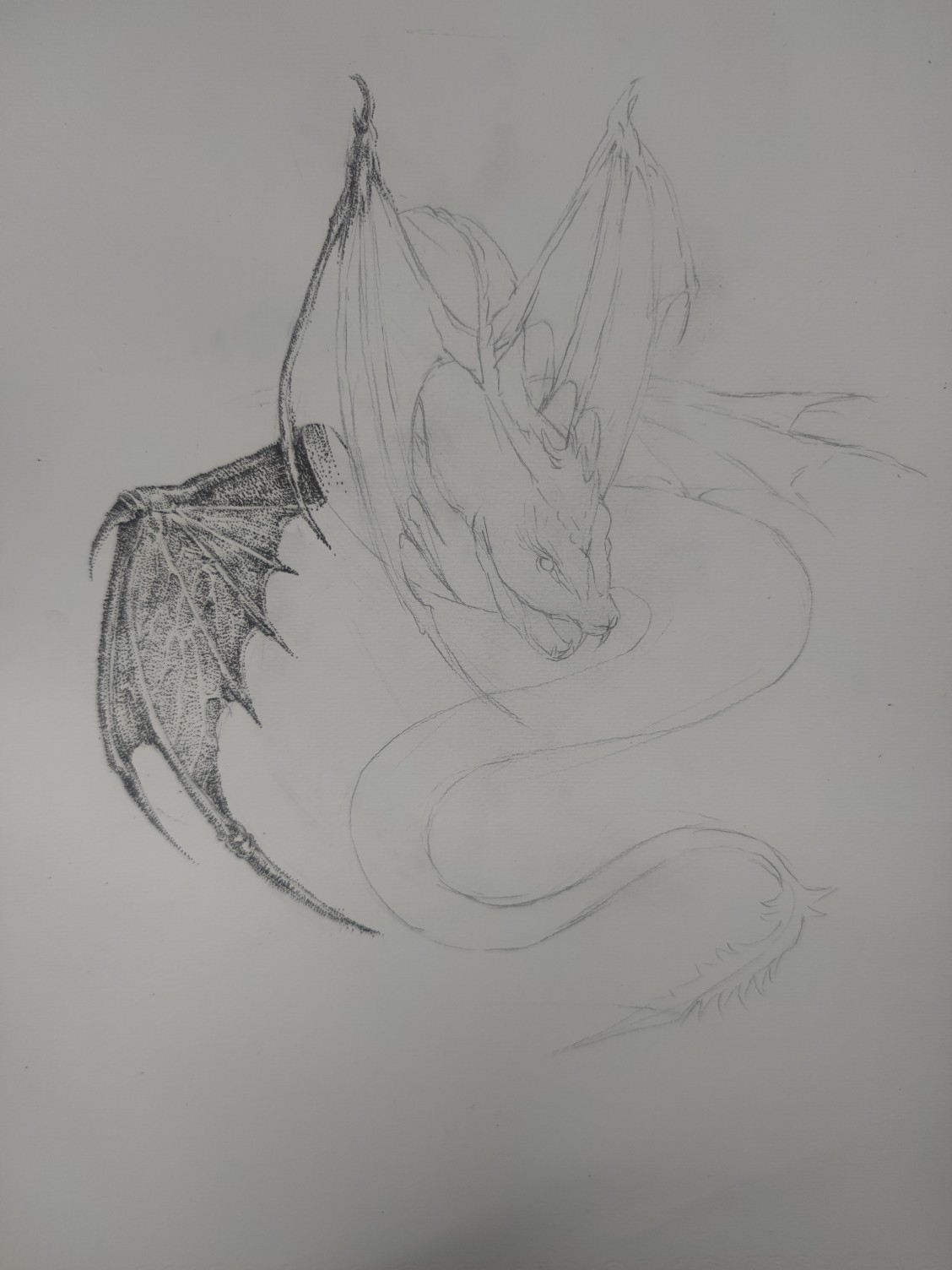 1660814208436225.jpeg
