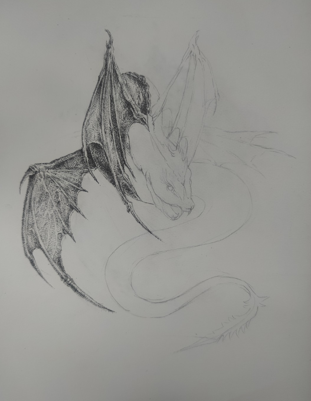 1660814208592545.jpeg