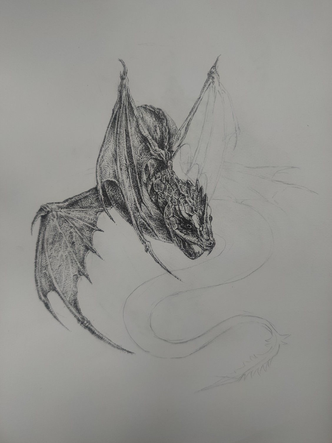 1660814208745515.jpeg
