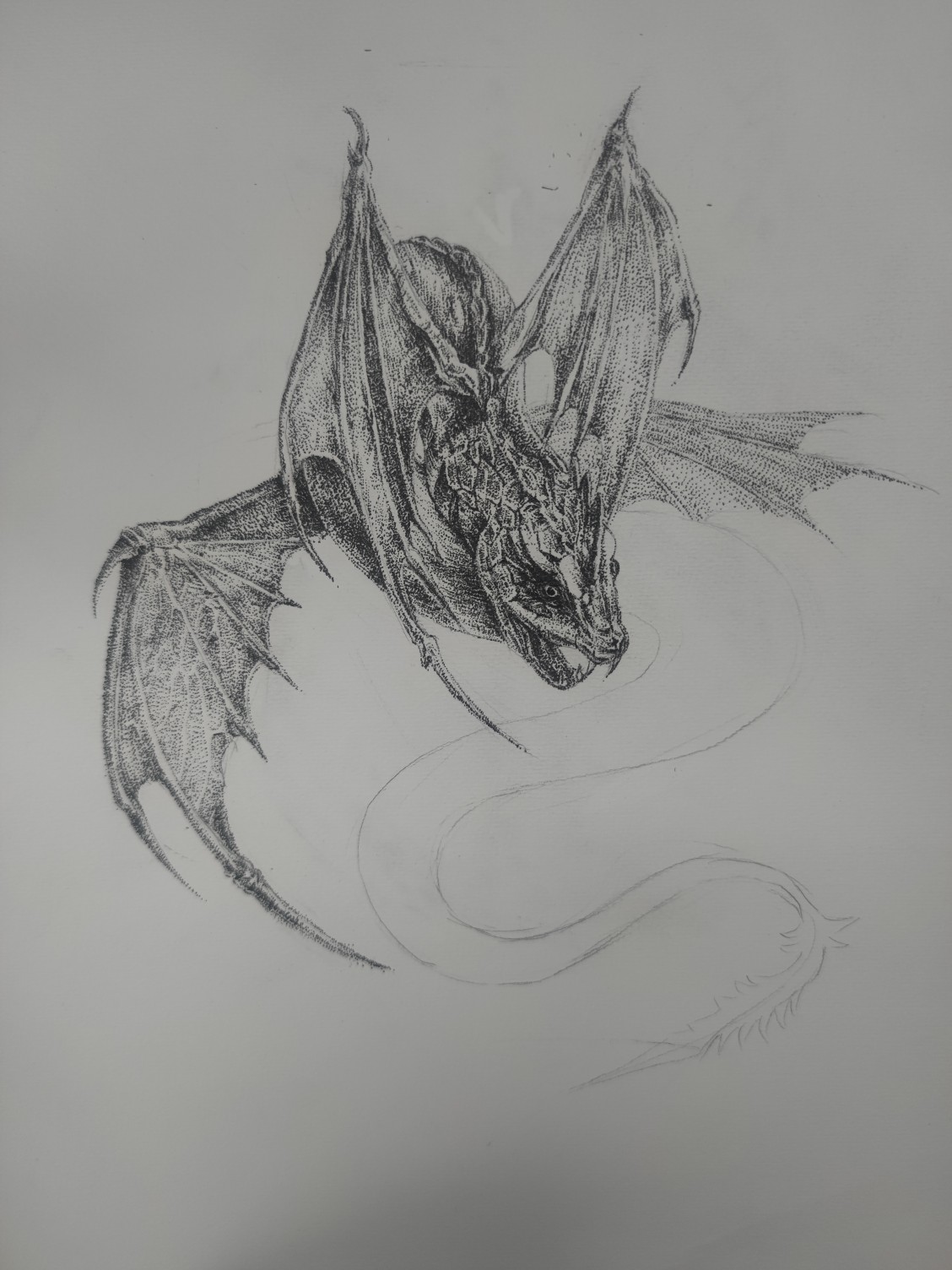 1660814208953611.jpeg