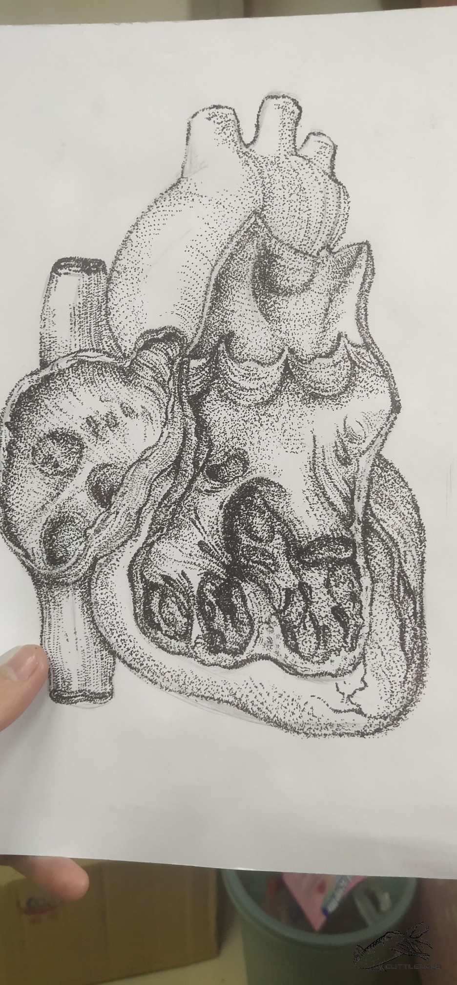 168110111362435.jpeg