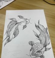 锦鲤？金鱼？