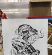 鱼 蛇