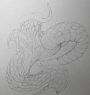 咔哆罗拉———第十一张（黑蛇）